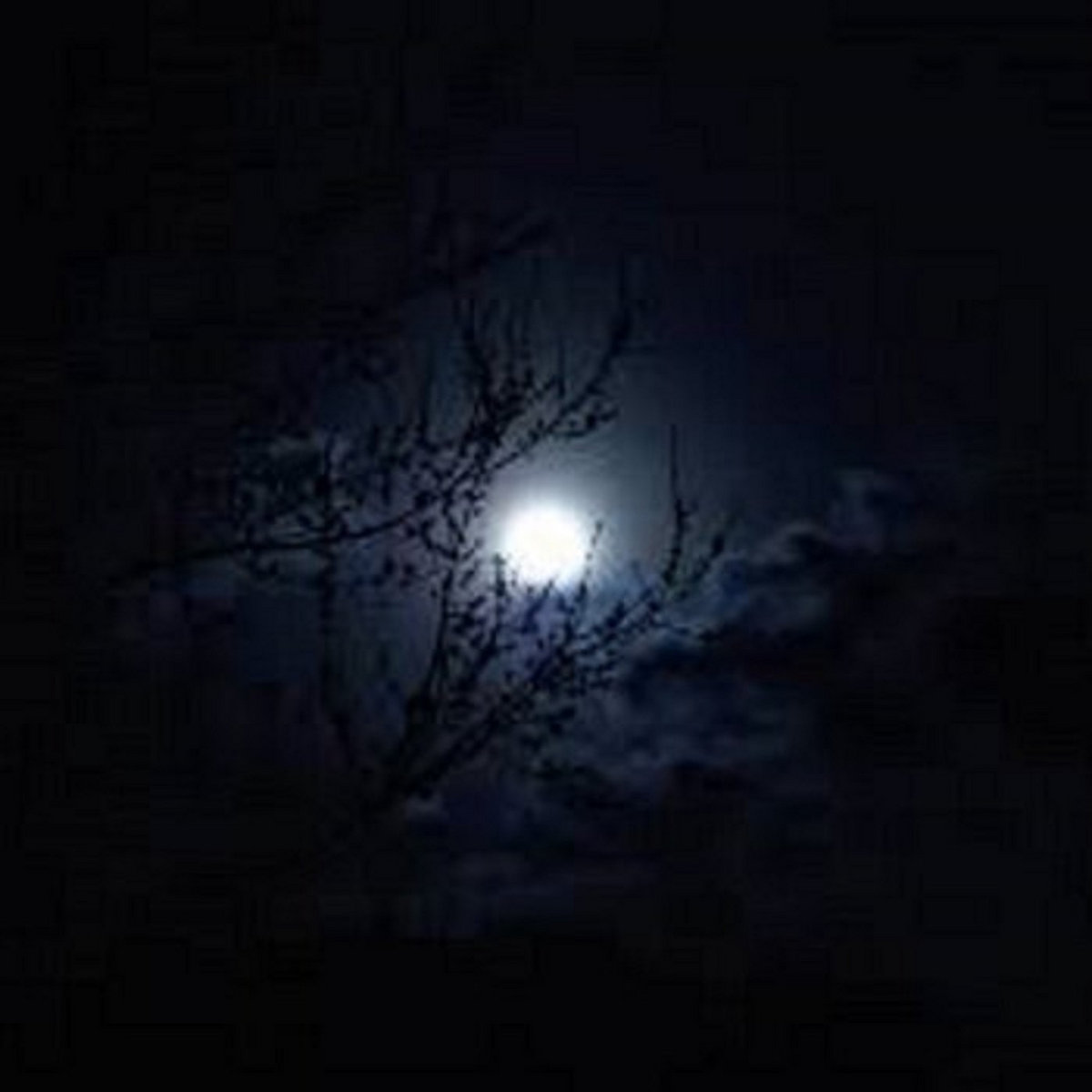 SkullDozer -The Singles