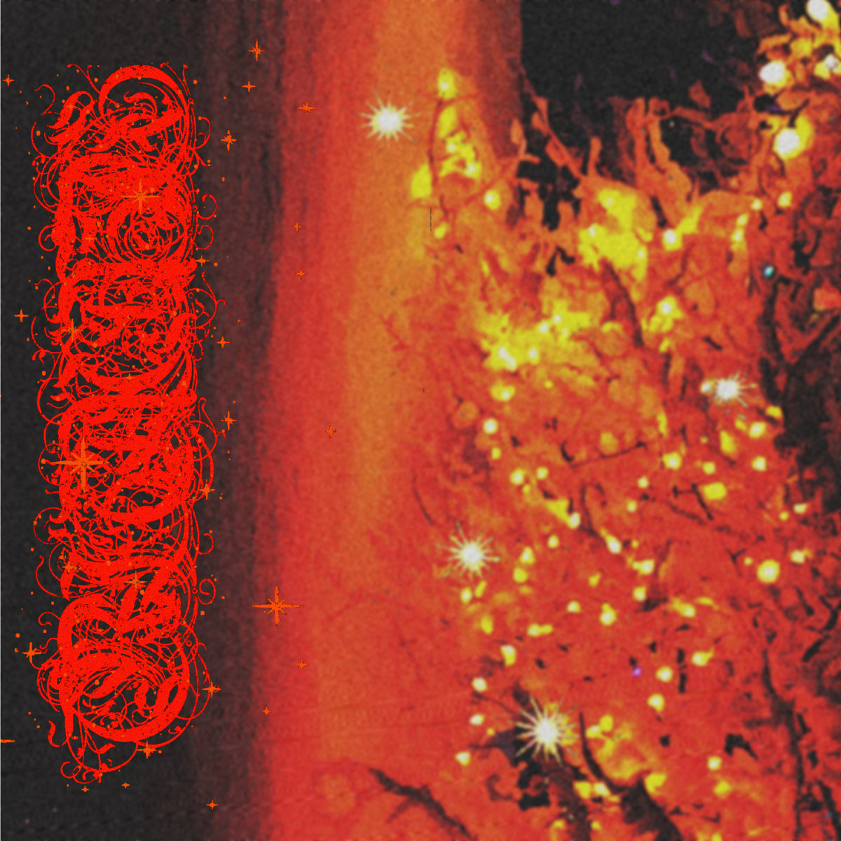 ✦. . ˚ ✦ . ★⋆.* ✦