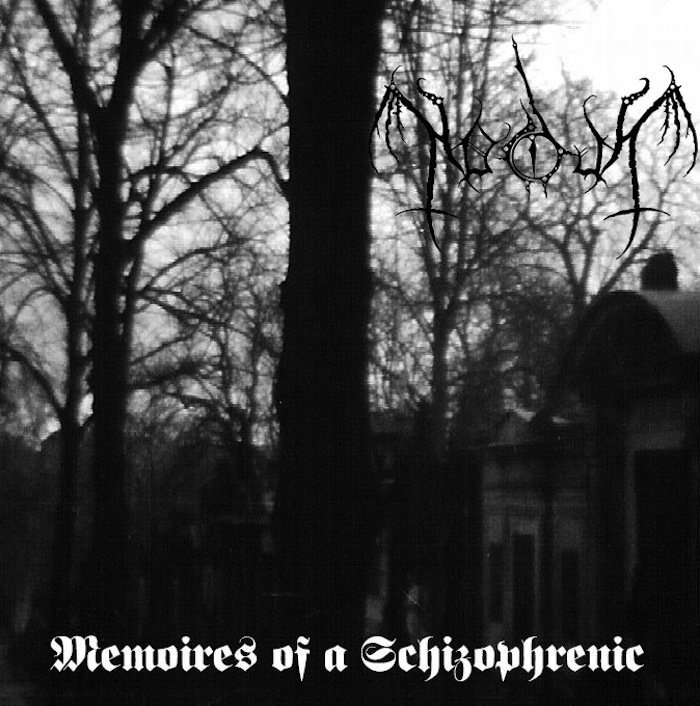 Memoires of a Schizophrenic