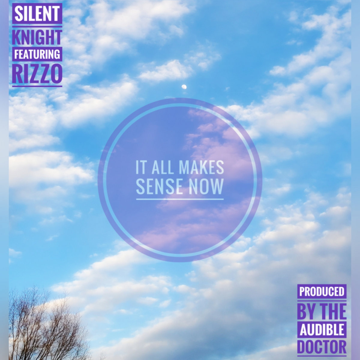 "It All Makes Sense Now" featuring Rizzo, produced by The Audible Doctor