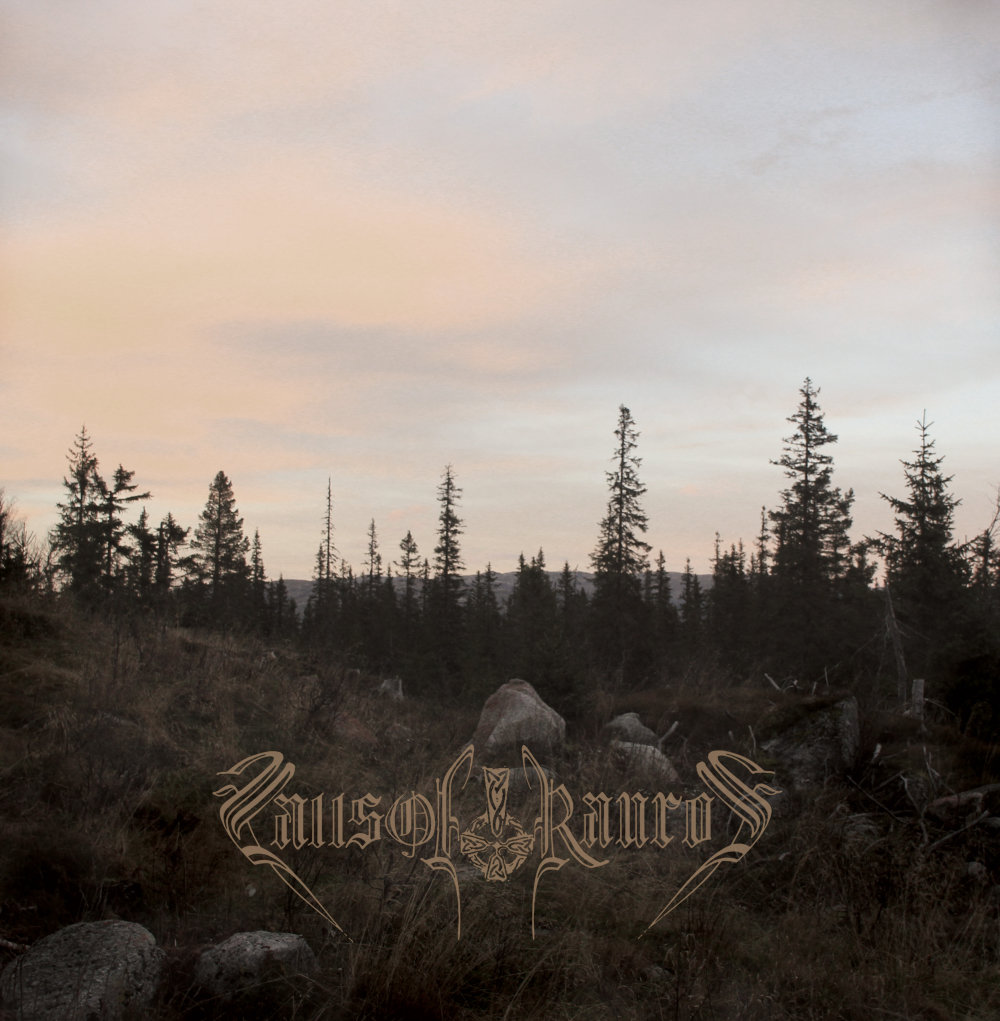 The Light That Dwells in Rotten Wood (2013 remaster)