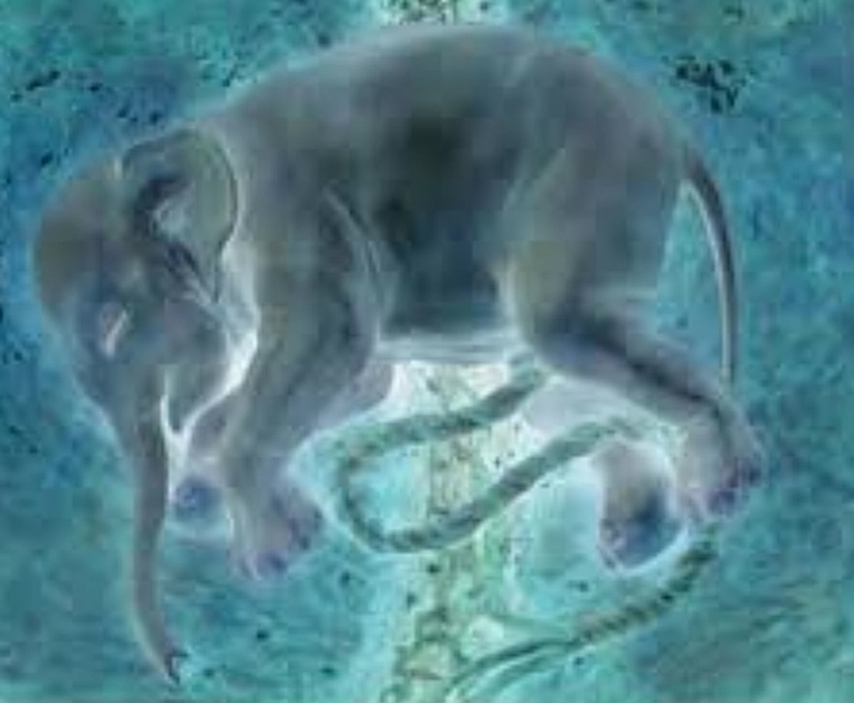 NONE MORE HARDER - Live at THE PAPER BOX