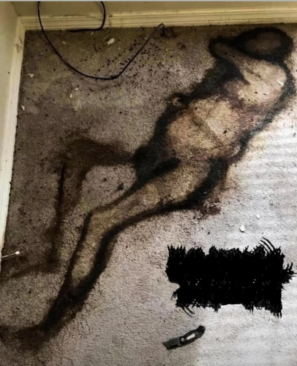 Advanced putrefactive mortification