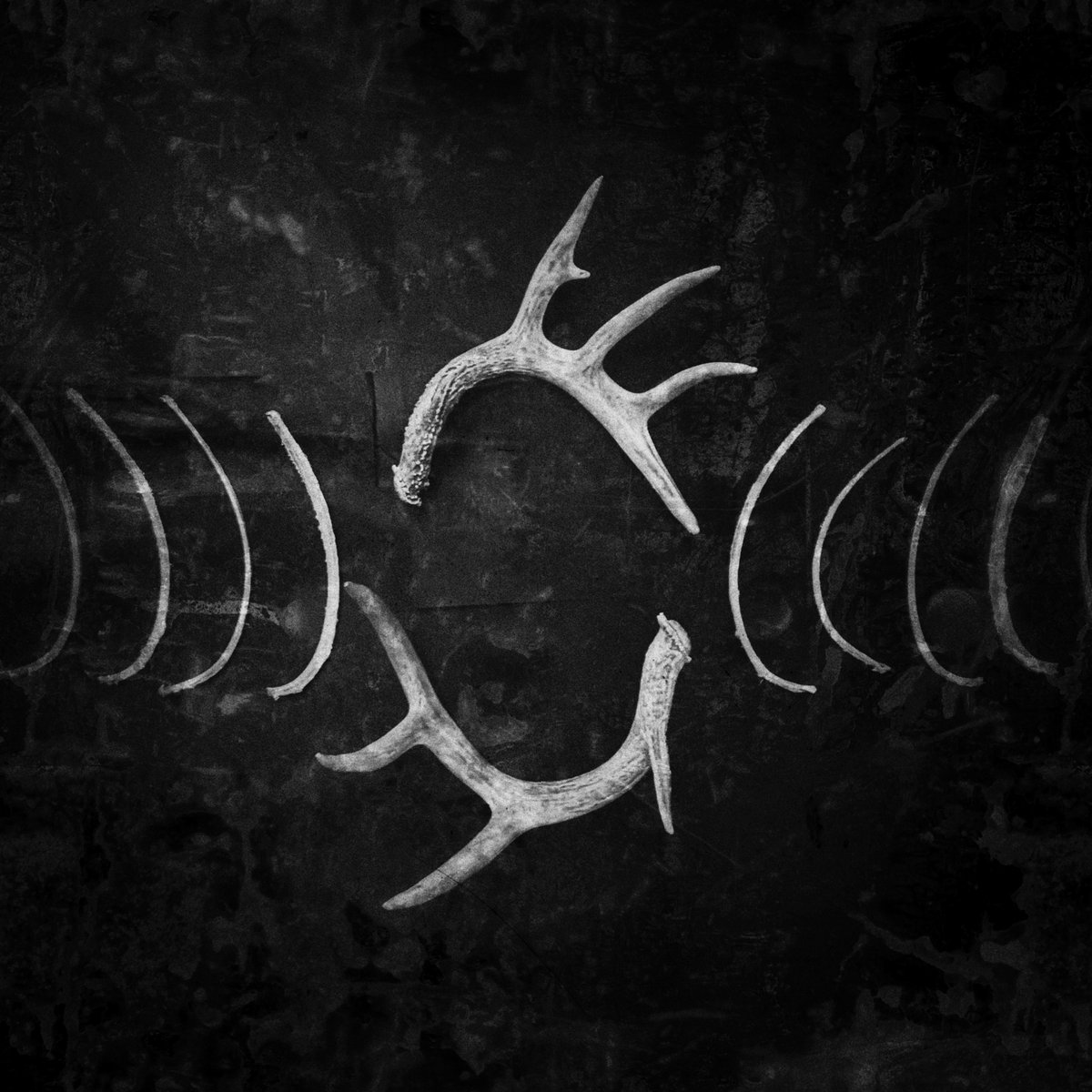 The Anatomy of Melancholie