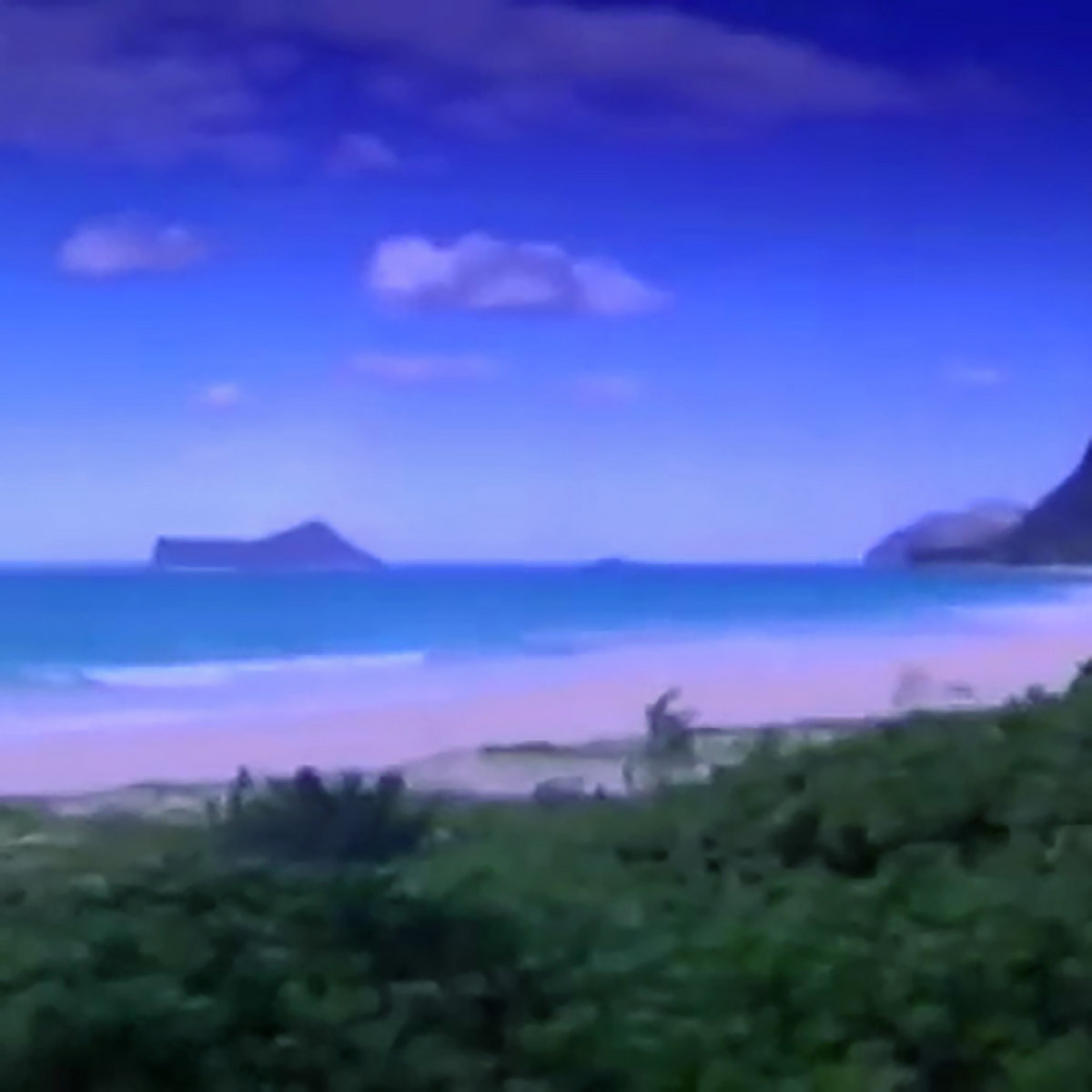 Ｏｃｅａｎ Ｄｒｅａｍｓ