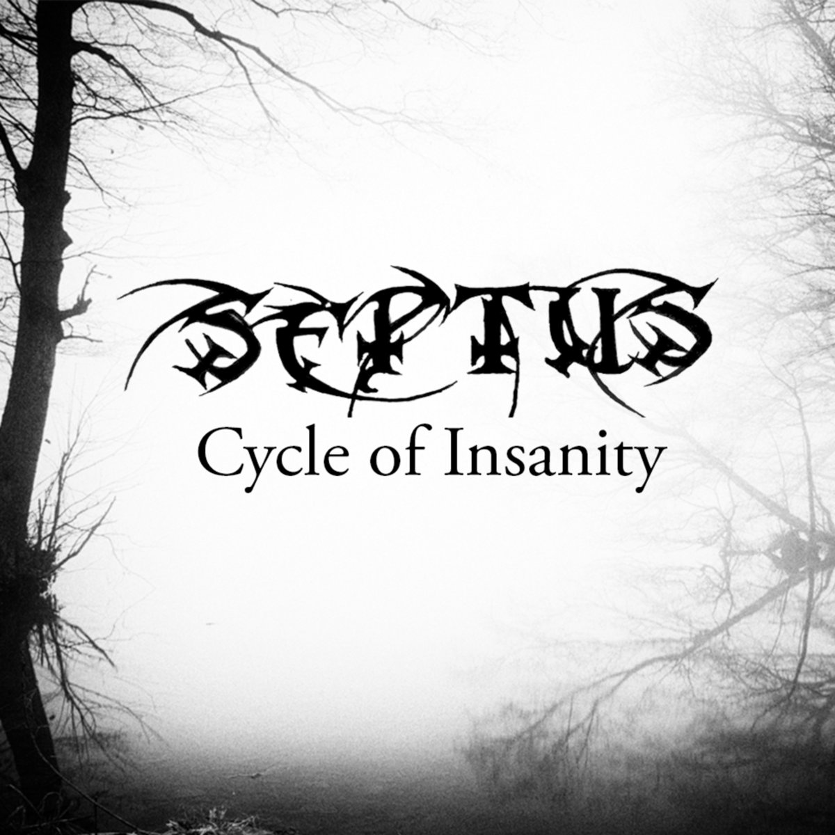 Cycle of Insanity