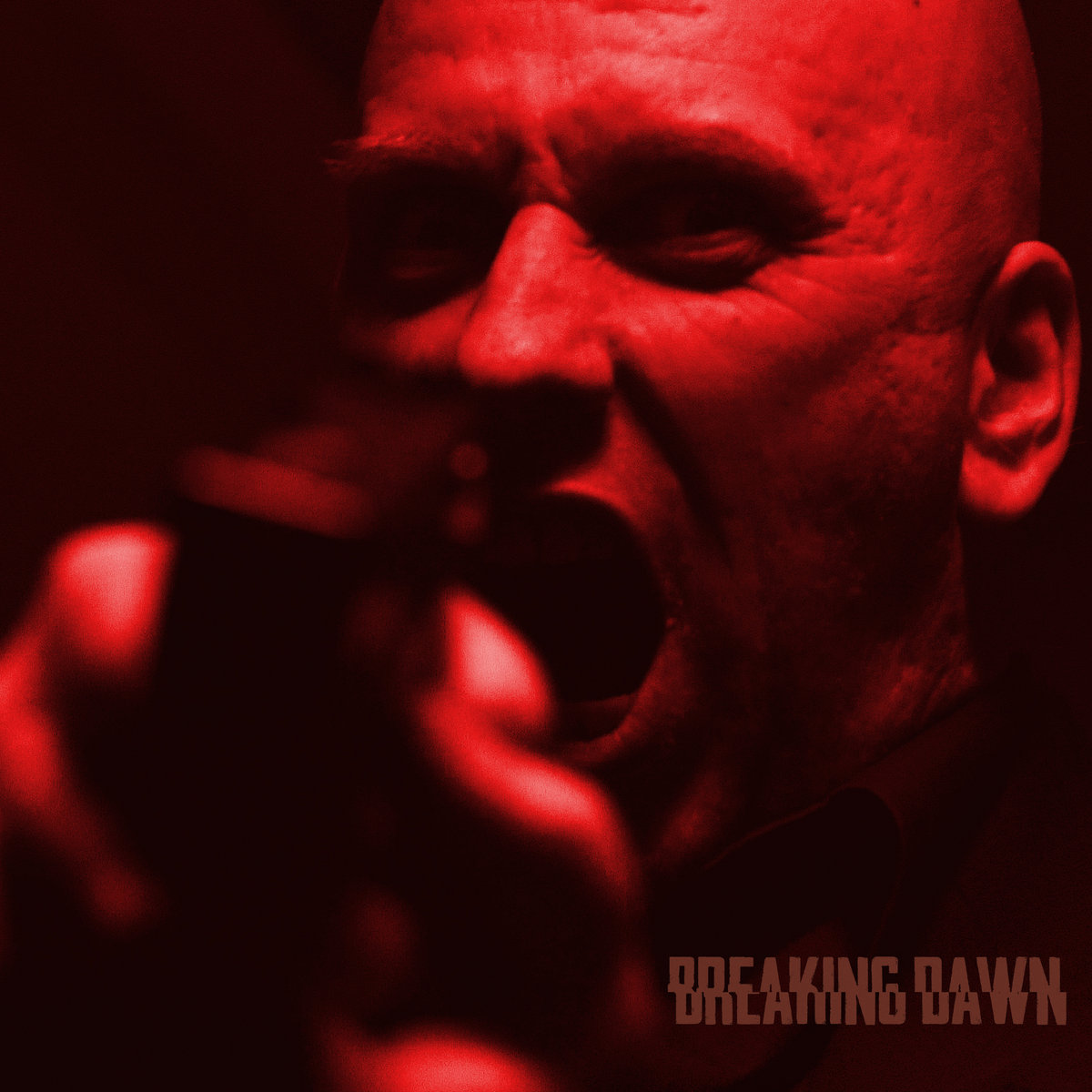 Breaking Dawn
