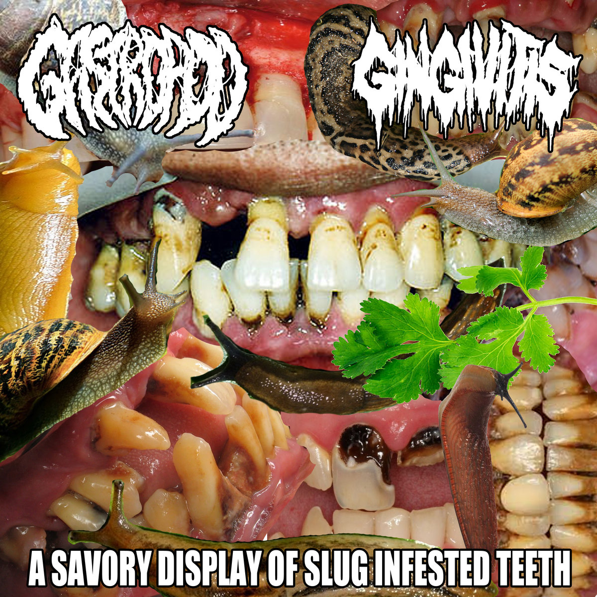 A Savory Display Of Slug Infested Teeth
