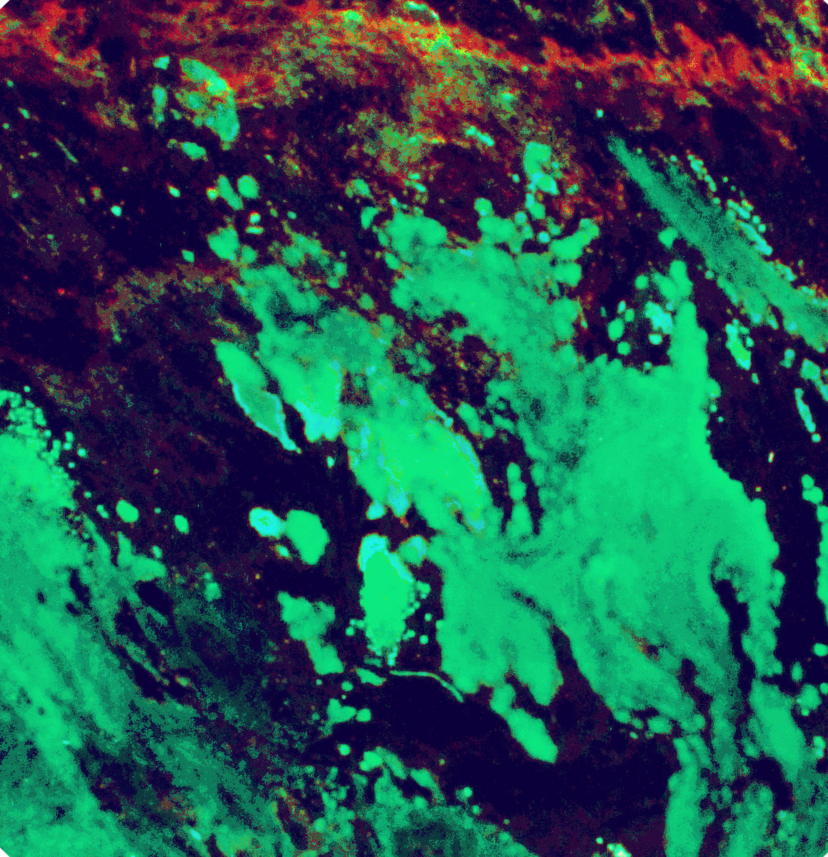 Clubbers Guide to Craigie