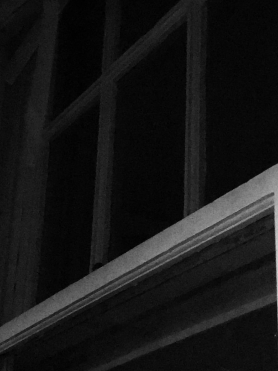 Berlin stories for metrosexuals