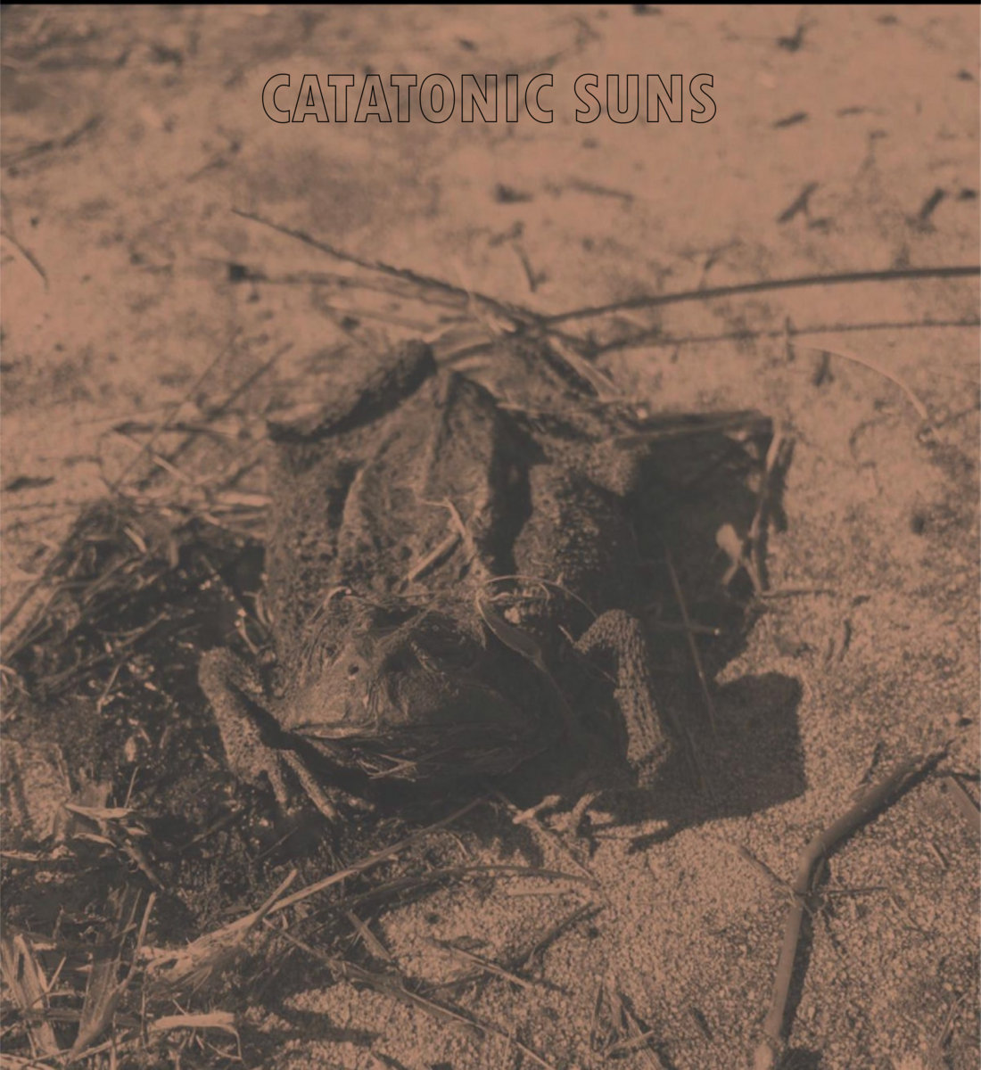 Catatonic Suns {Demos 2018-2019}