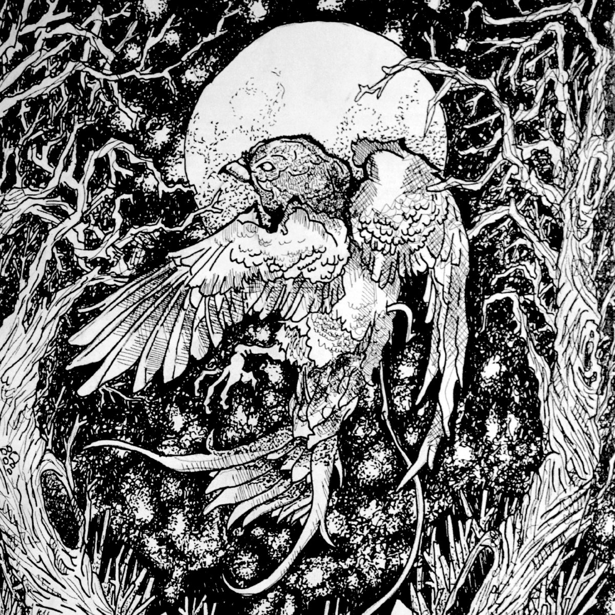 Split with Swallows Nest