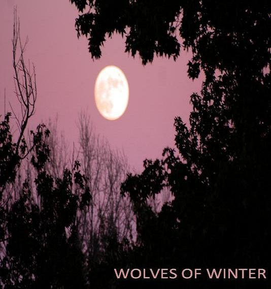 Wolves of Winter (Demo)