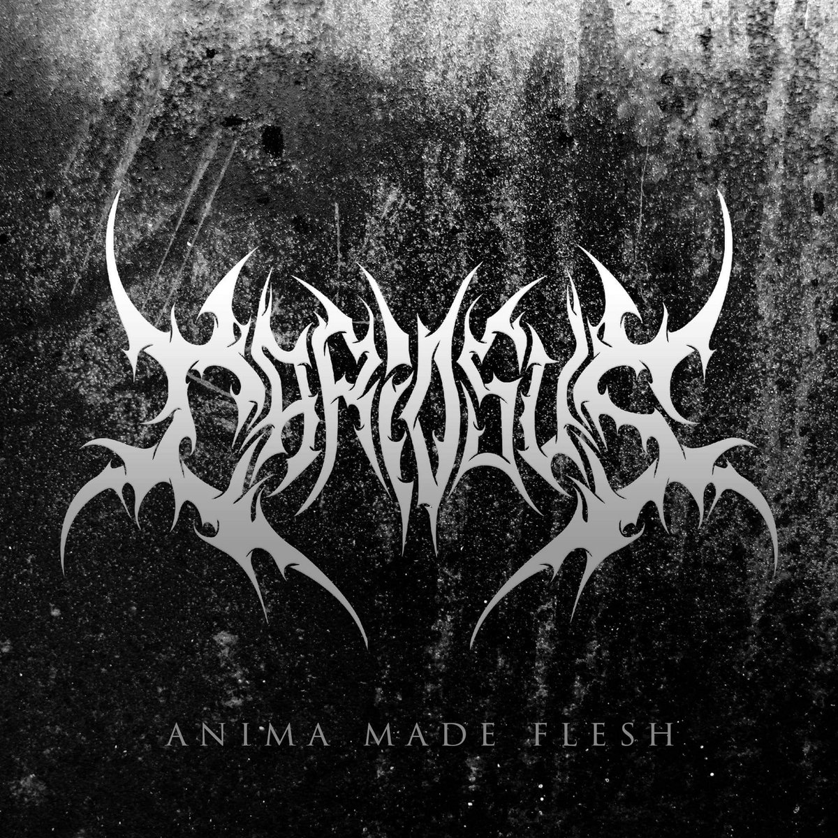 Anima Made Flesh