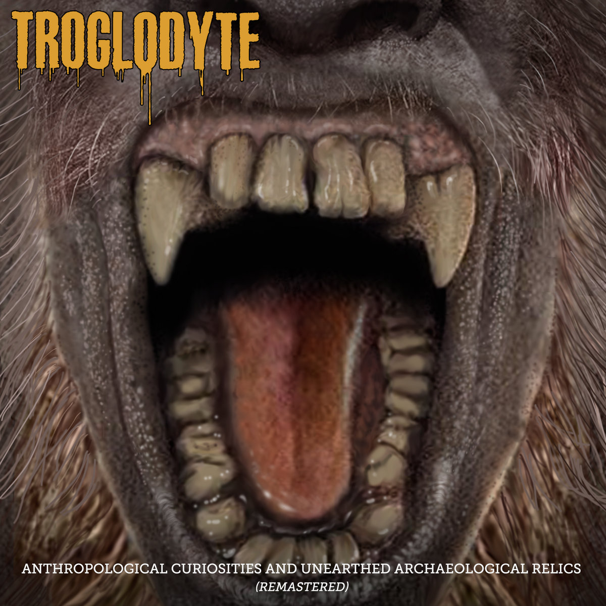 Anthropological Curiosities and Unearthed Archaeological Relics (Remastered)