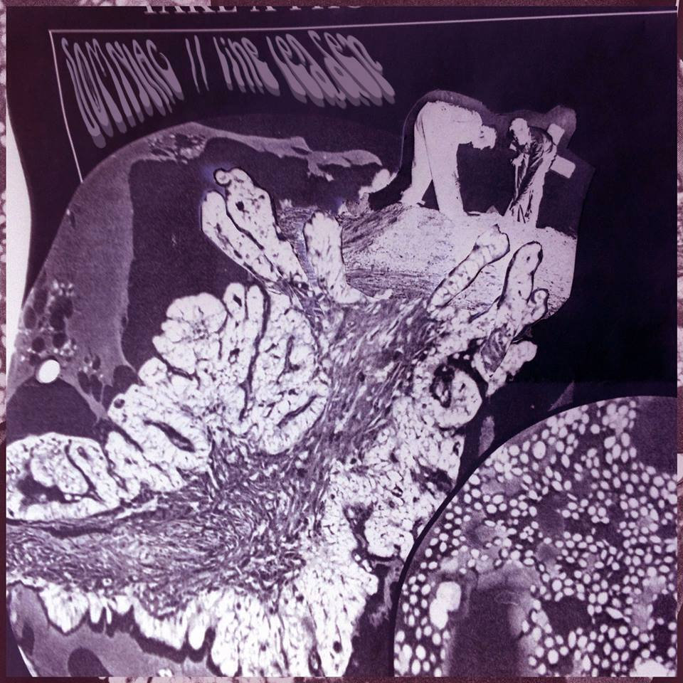 Somniac//Line Leader Split