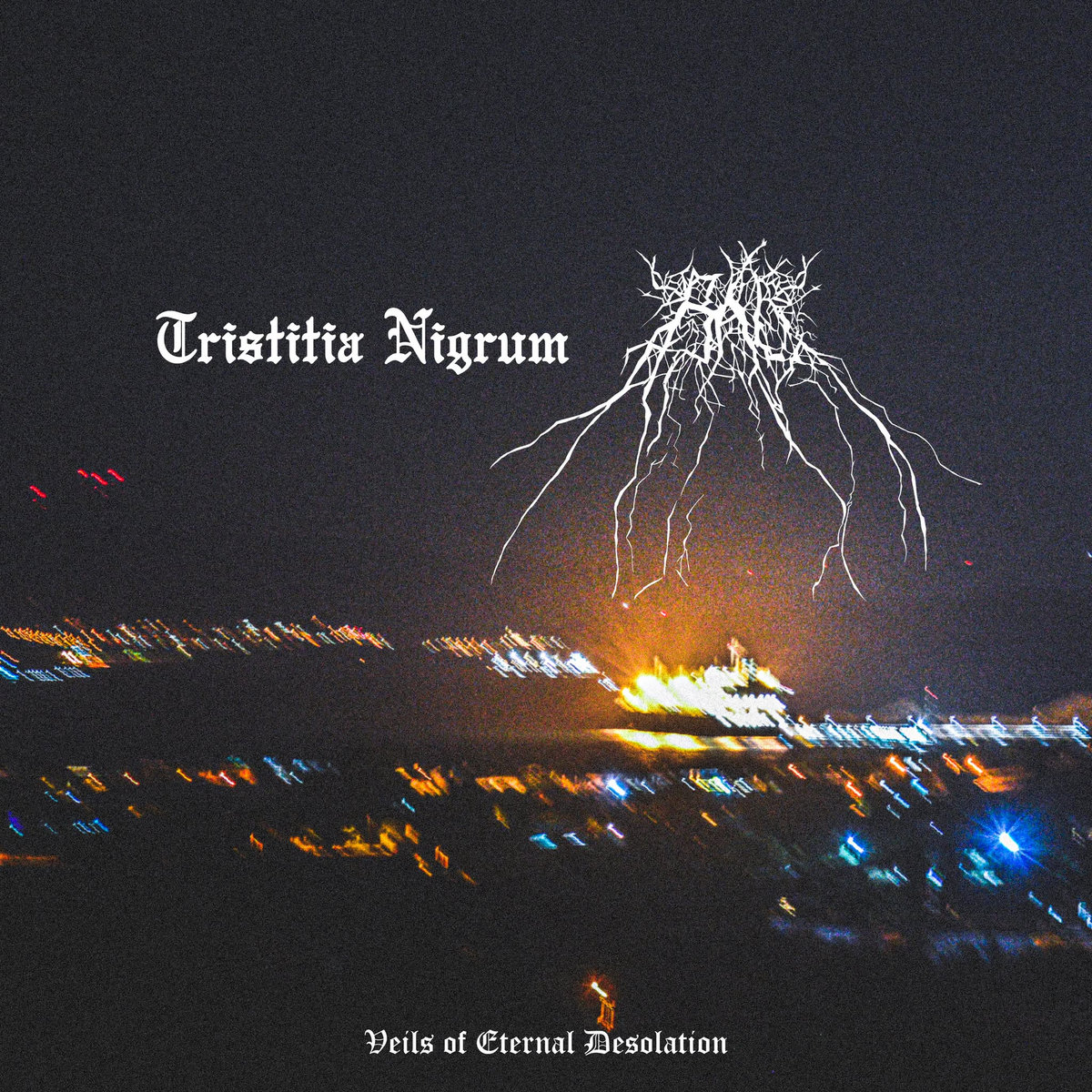 Veils of Eternal Desolation (Split)