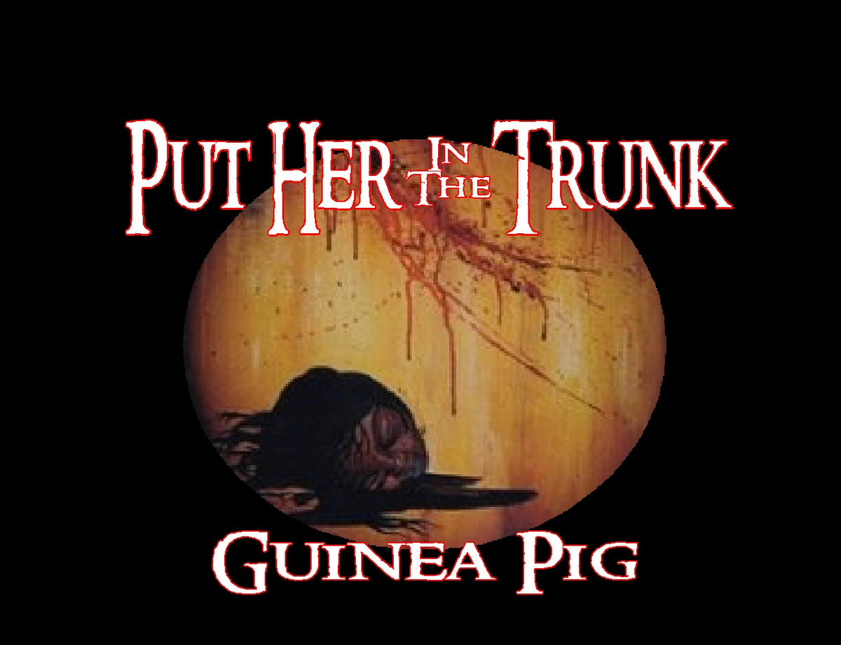 Guinea Pig