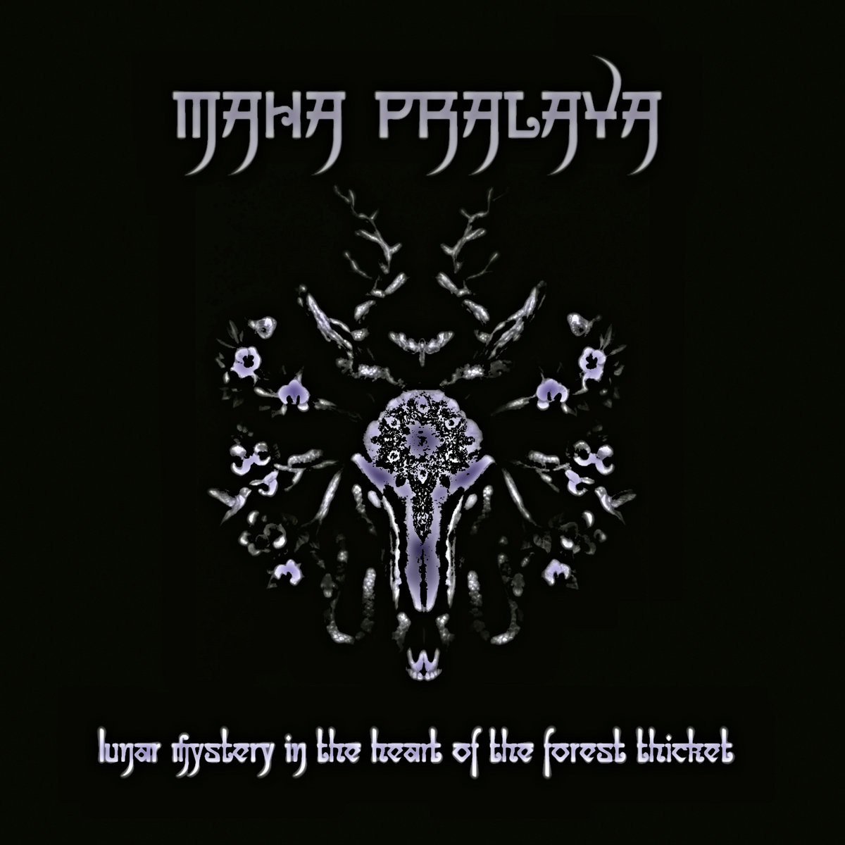 lunar mystery in the heart of the forest thicket