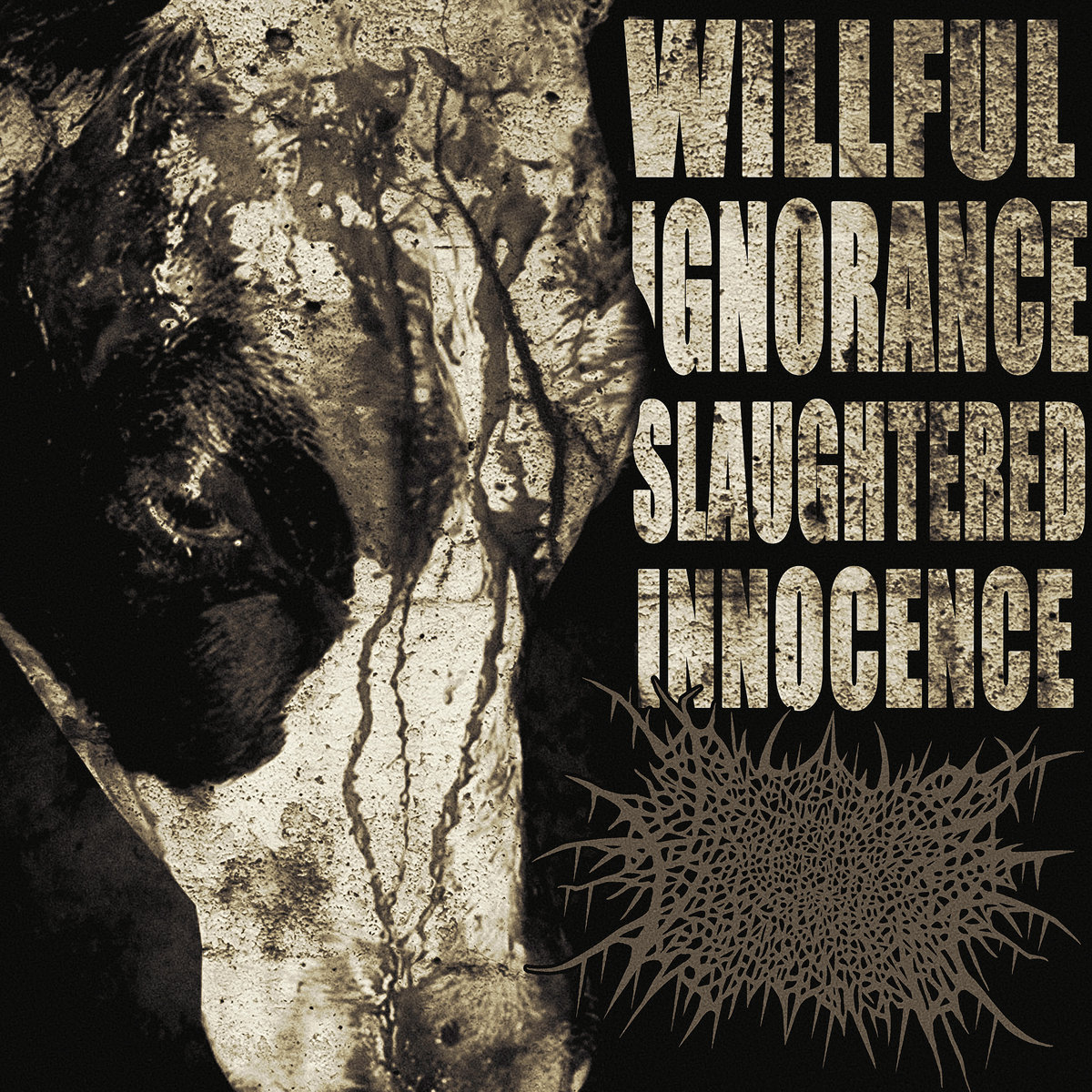 Willful Ignorance | Slaughtered Innocence