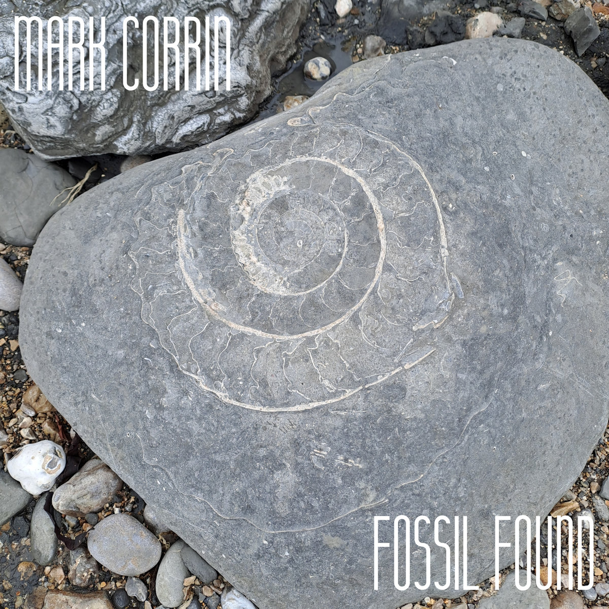 Fossil Found