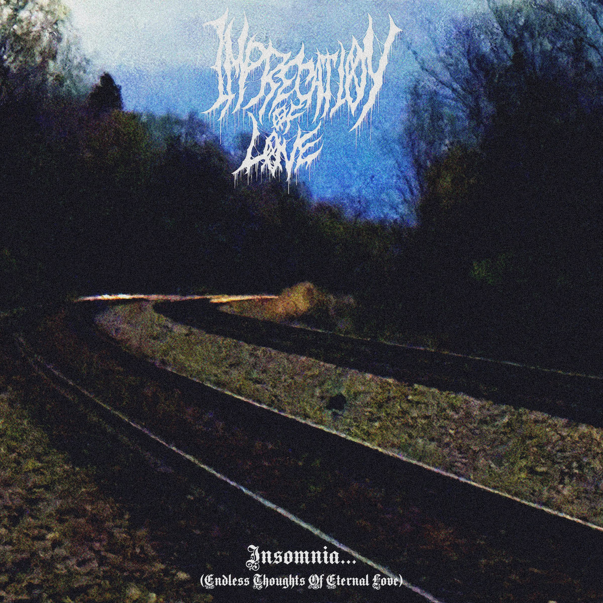 Insomnia... (Endless Thoughts Of Eternal Love)