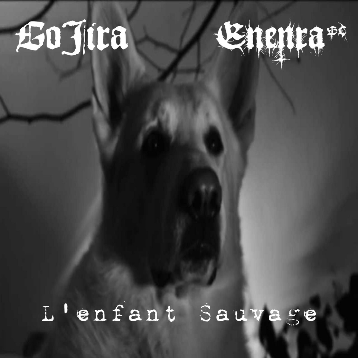 L'enfant Sauvage (Gojira Cover)