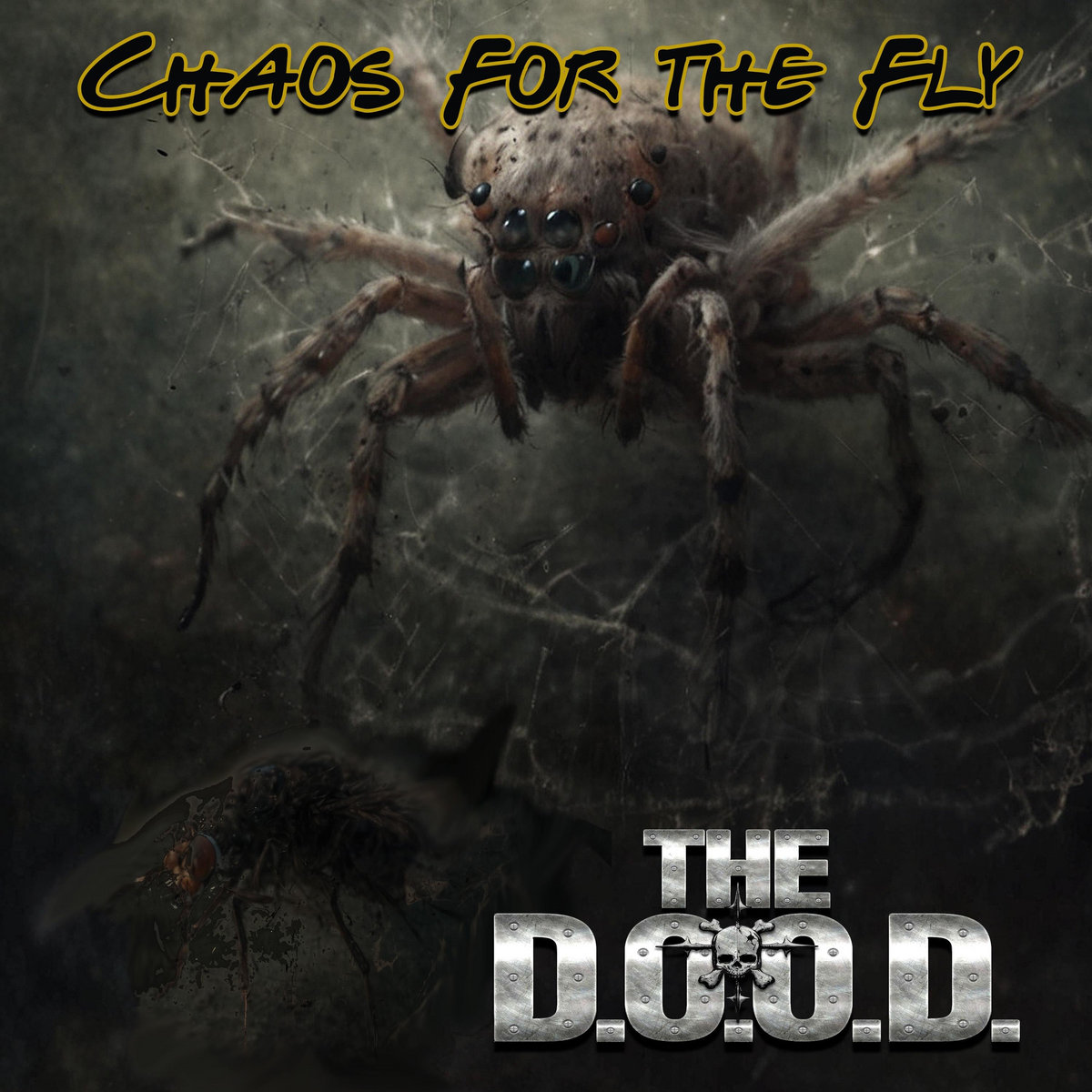 Chaos For The Fly