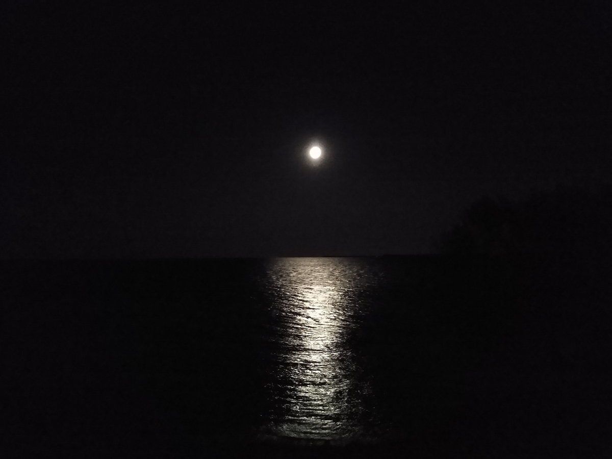 Of Darkness and Other Vampyrean Acts of Lust