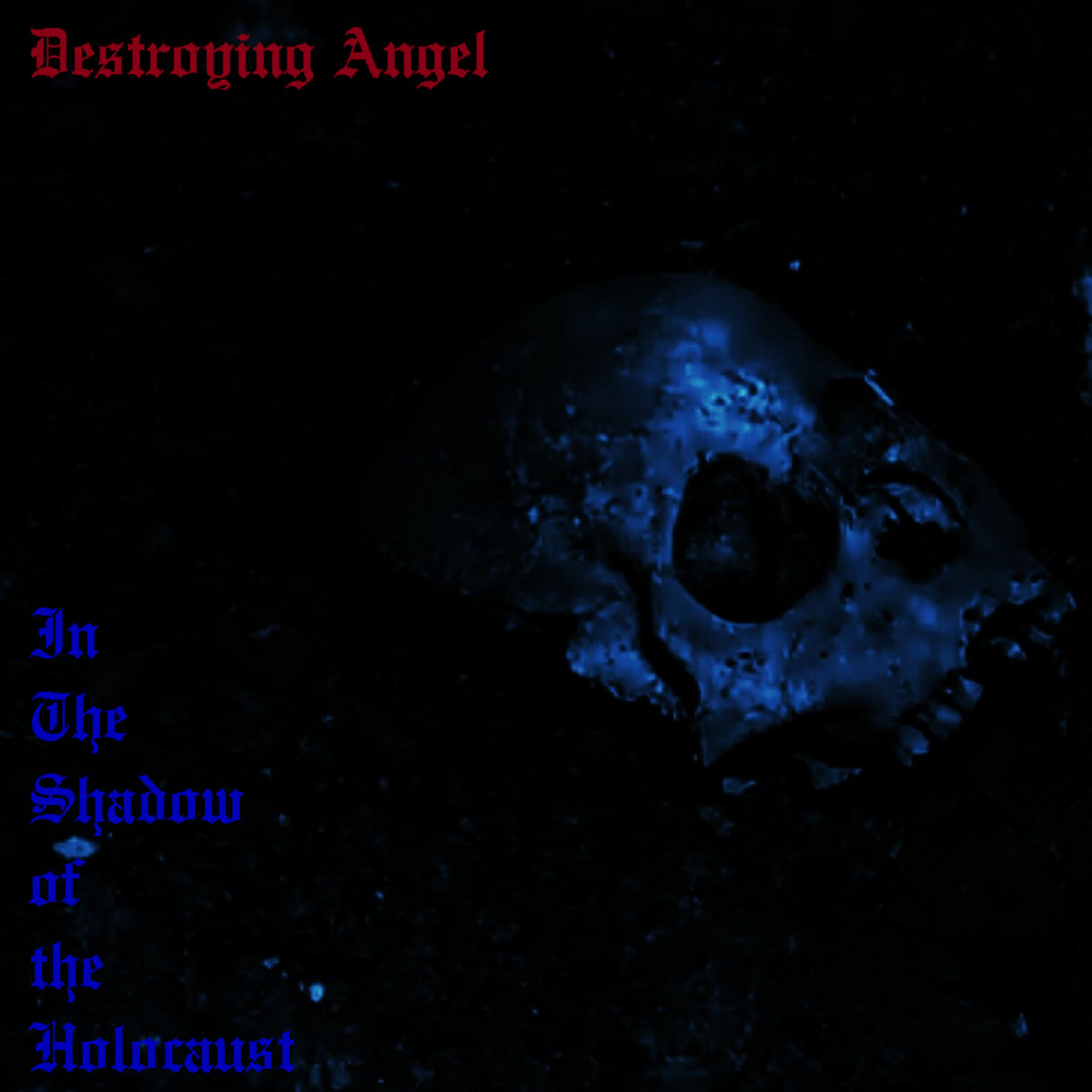 In the Shadow of the Holocaust