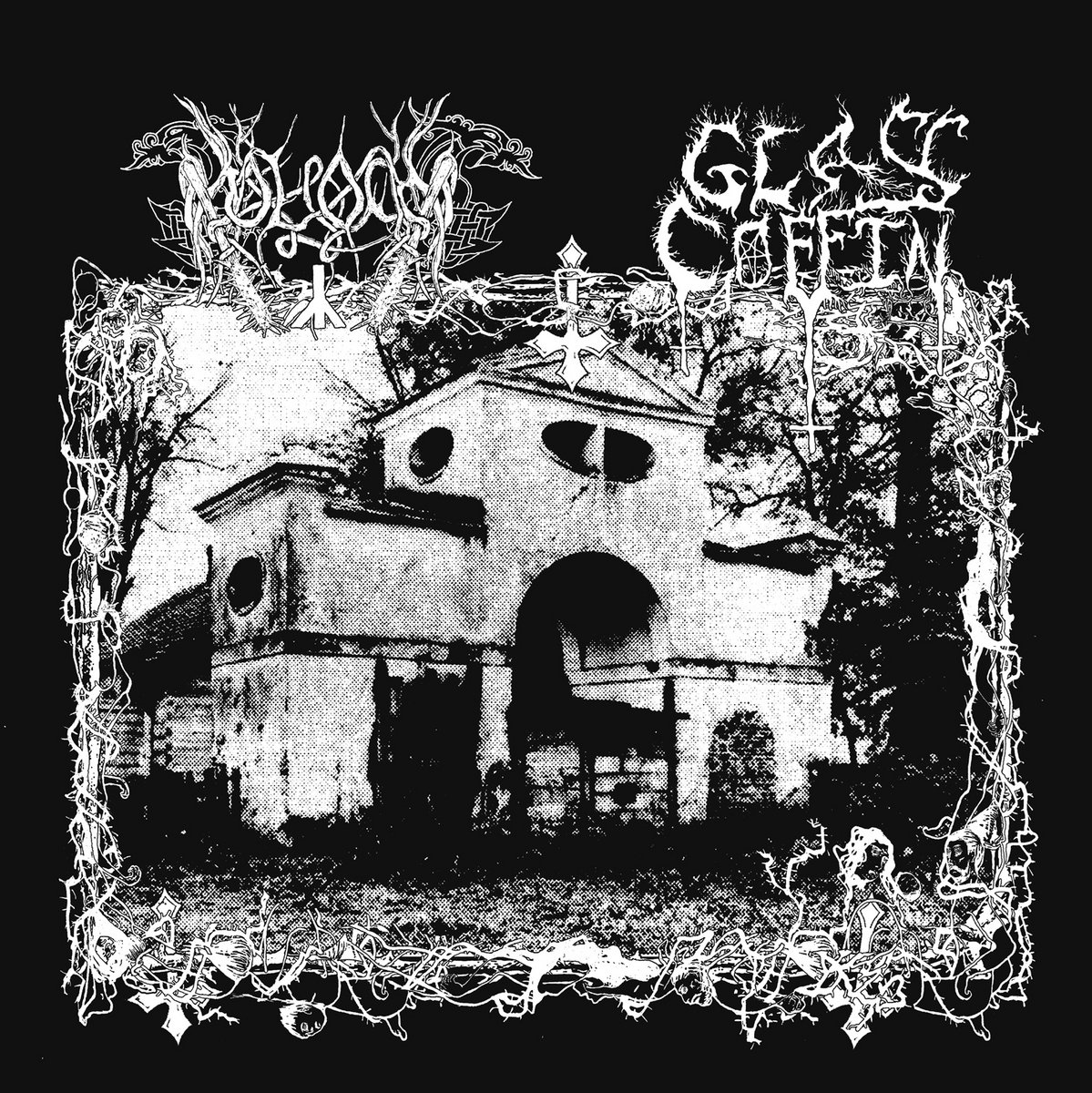 GLASS COFFIN / MOLOCH SPLIT