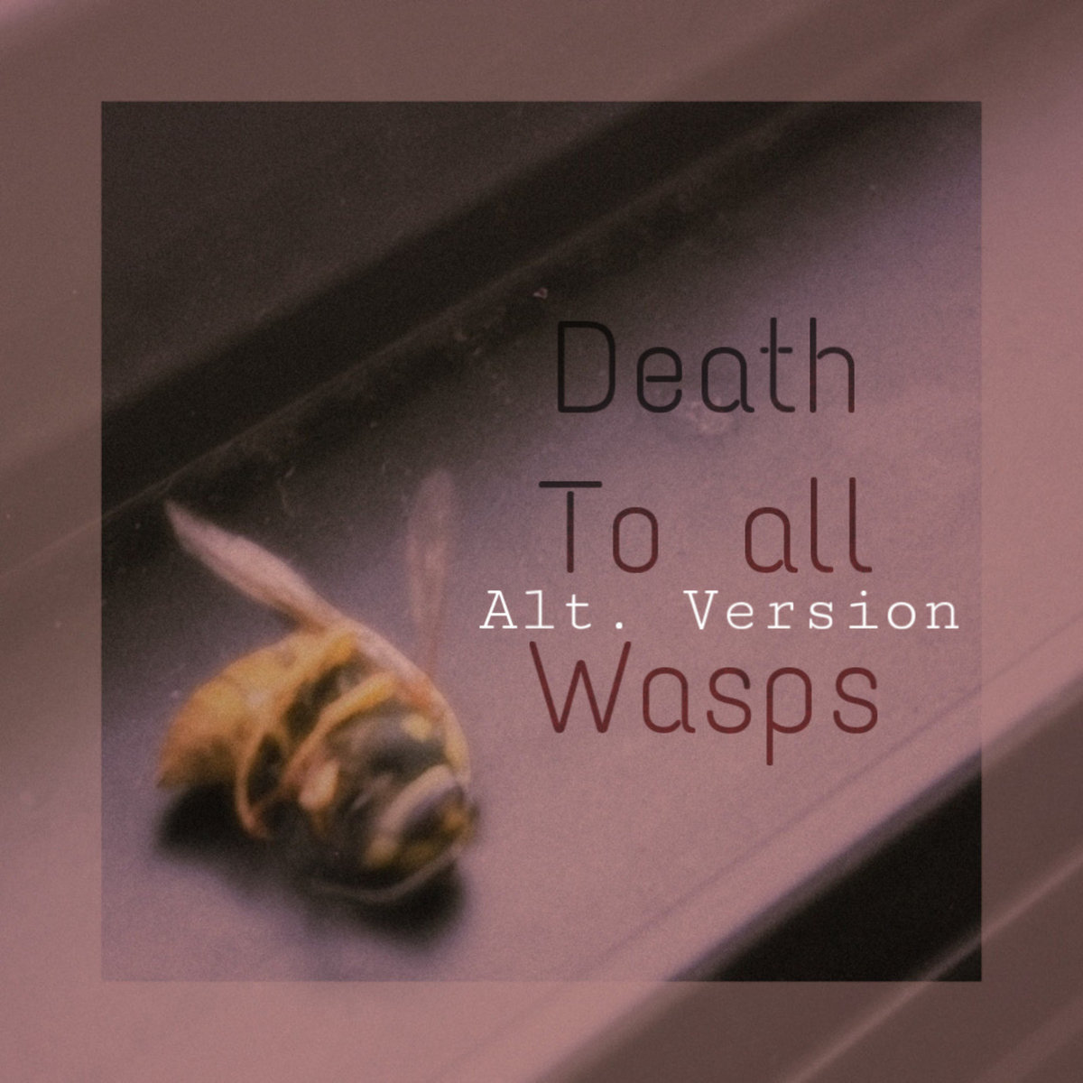 Death To All Wasps (Alternative Version)