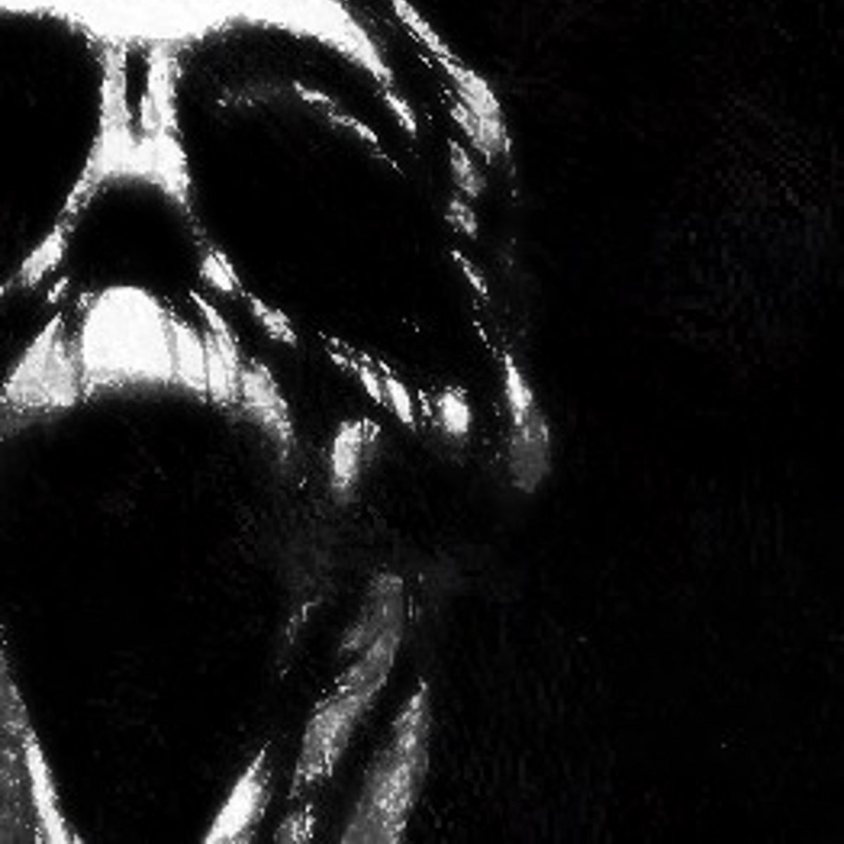 The Fifth Kingdom of Night