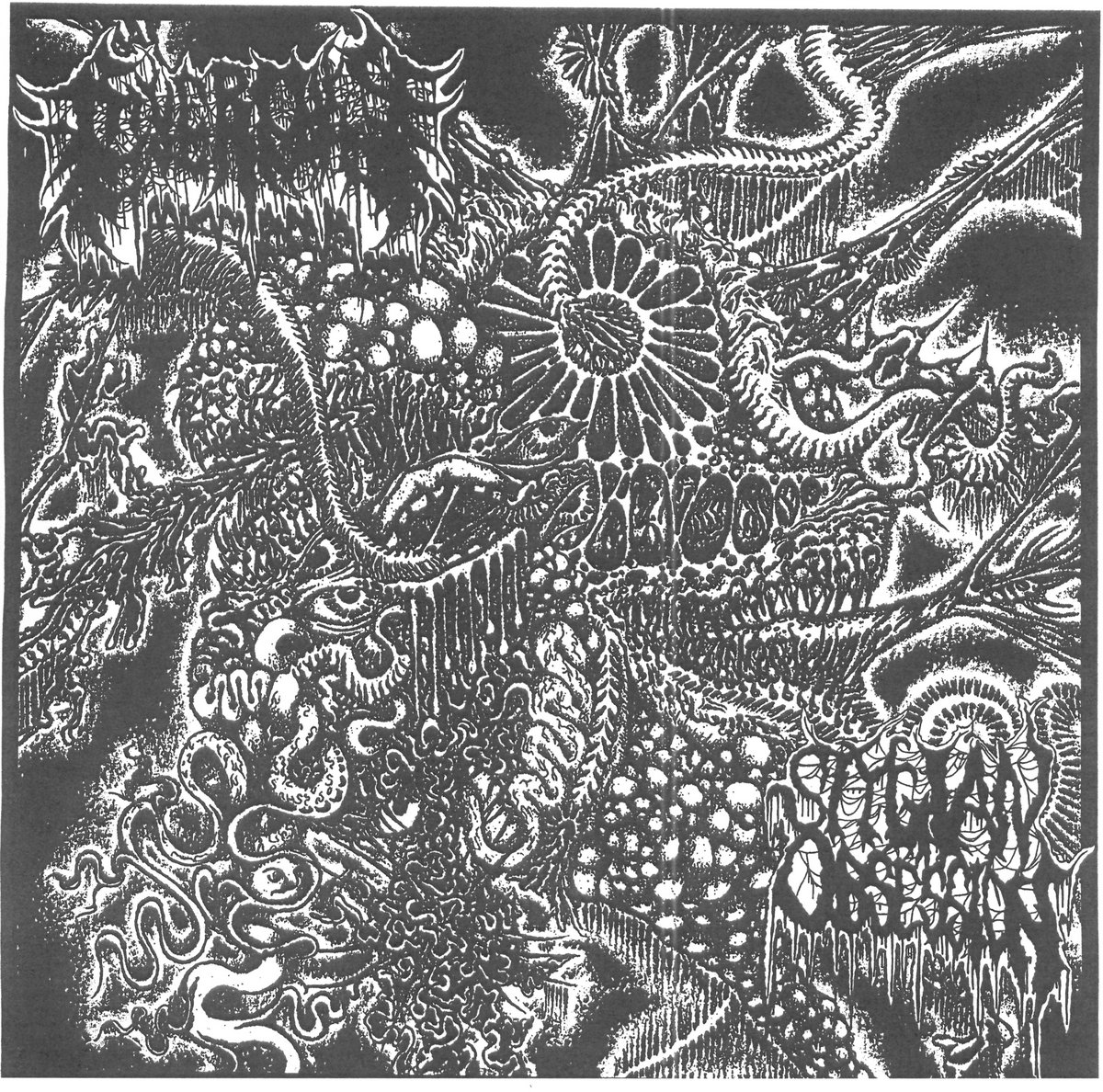 Heralds of Affliction (PLEASE READ)