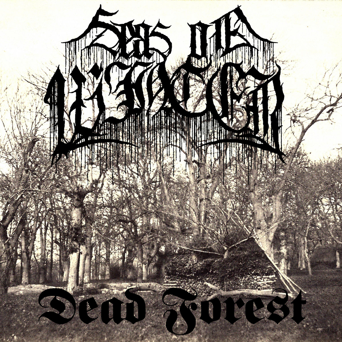 Dead Forest