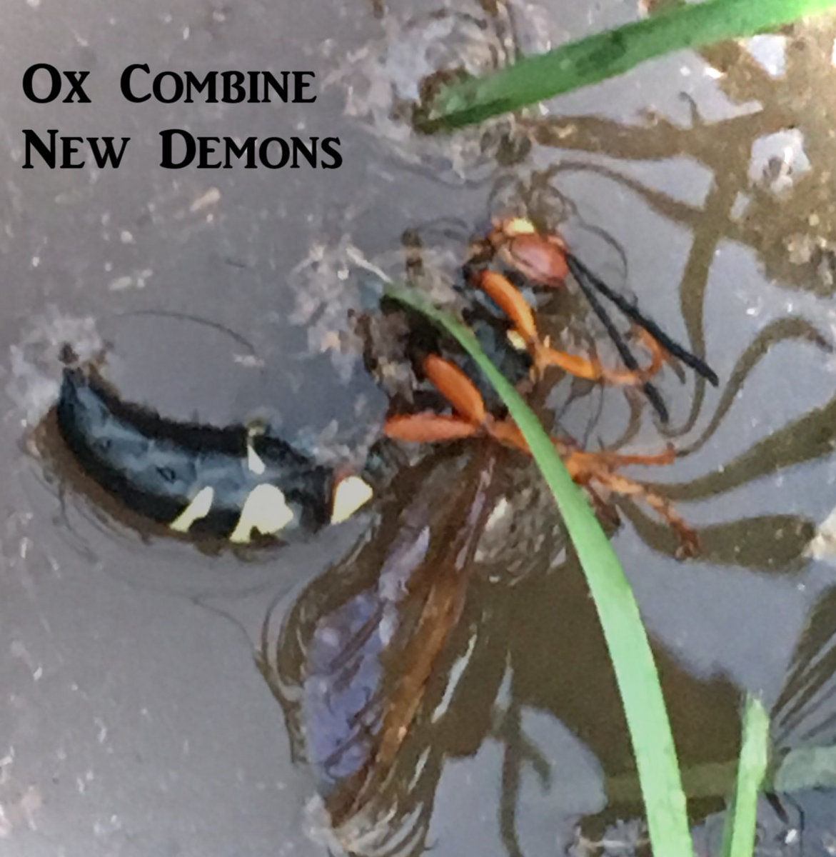 New Demons