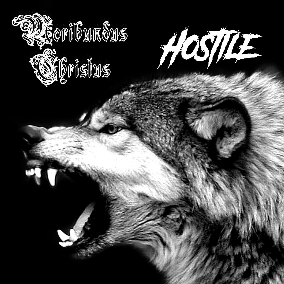 Hostile