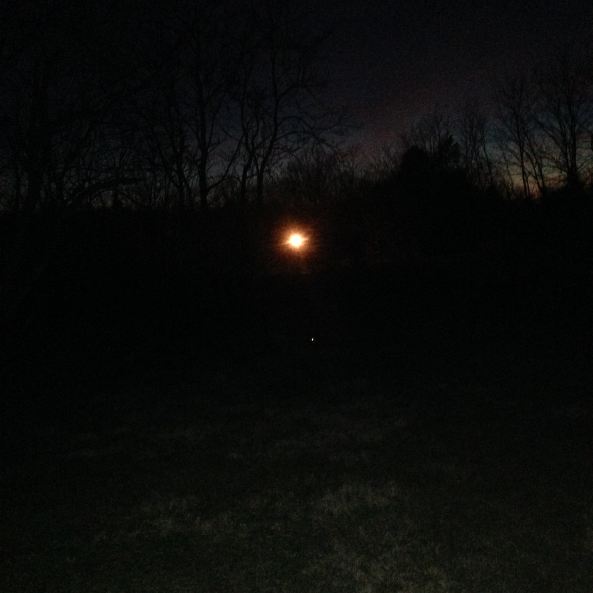 Lain in Empty Fields