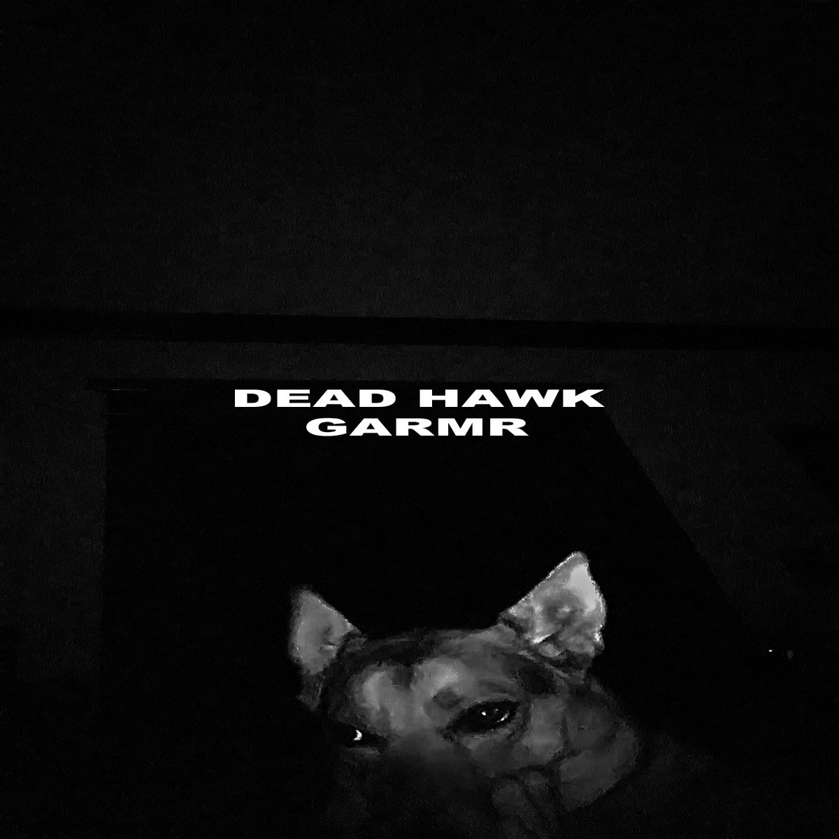 Split with Dead Hawk