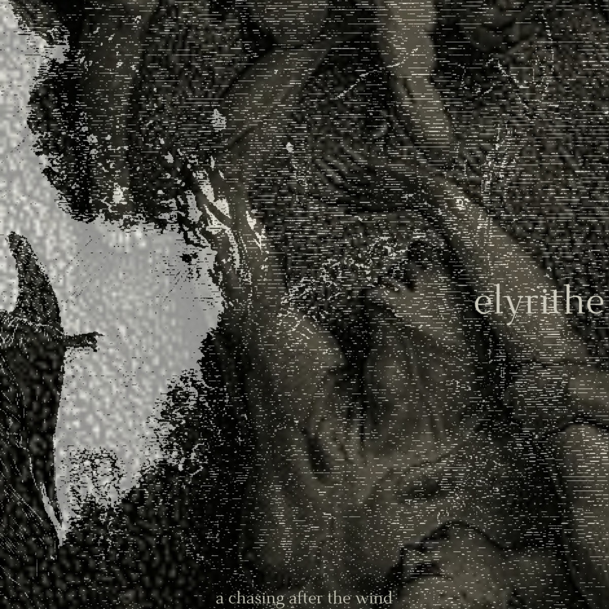 a chasing after the wind