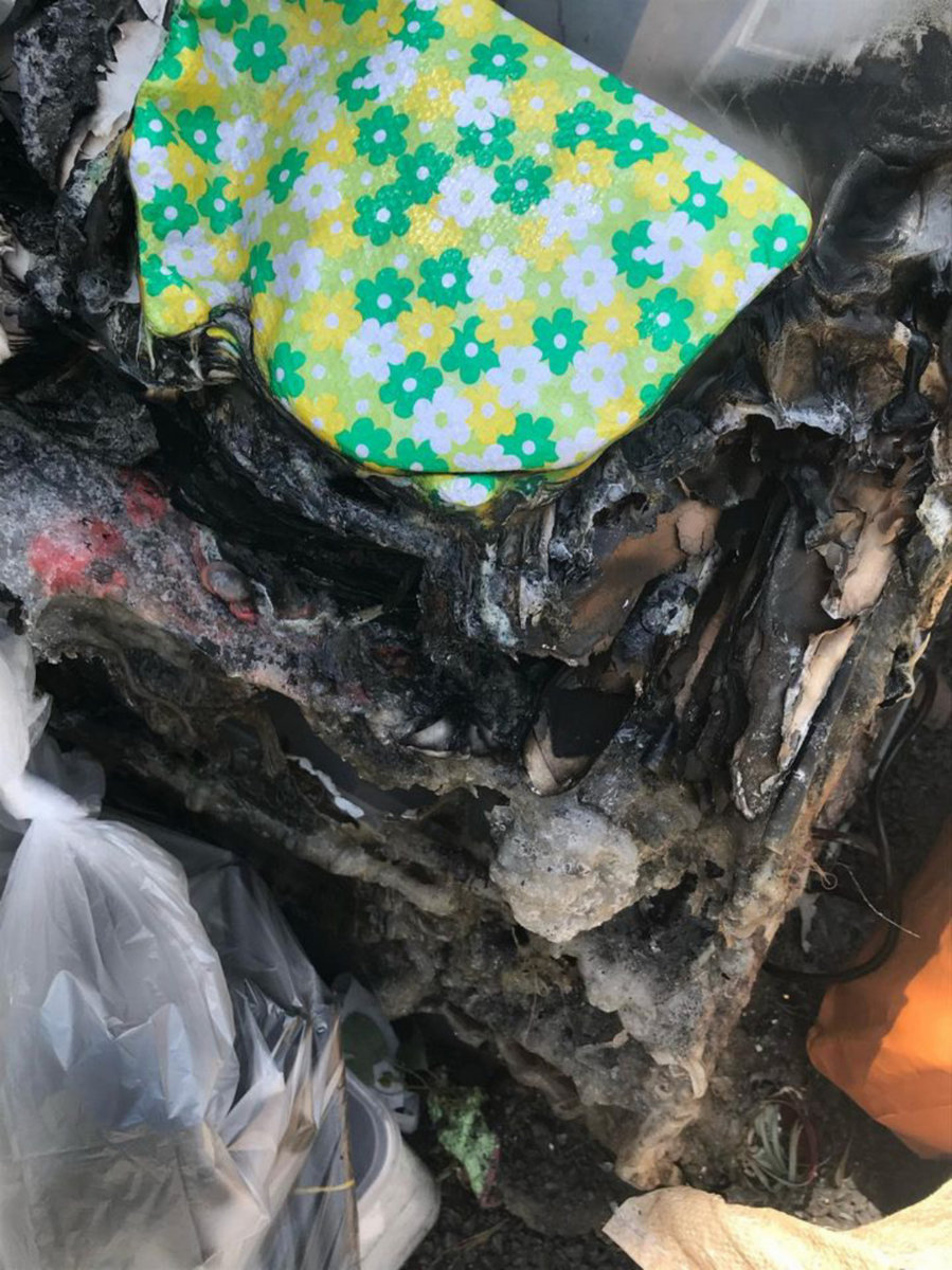 Winters in Osaka / C. Dodge