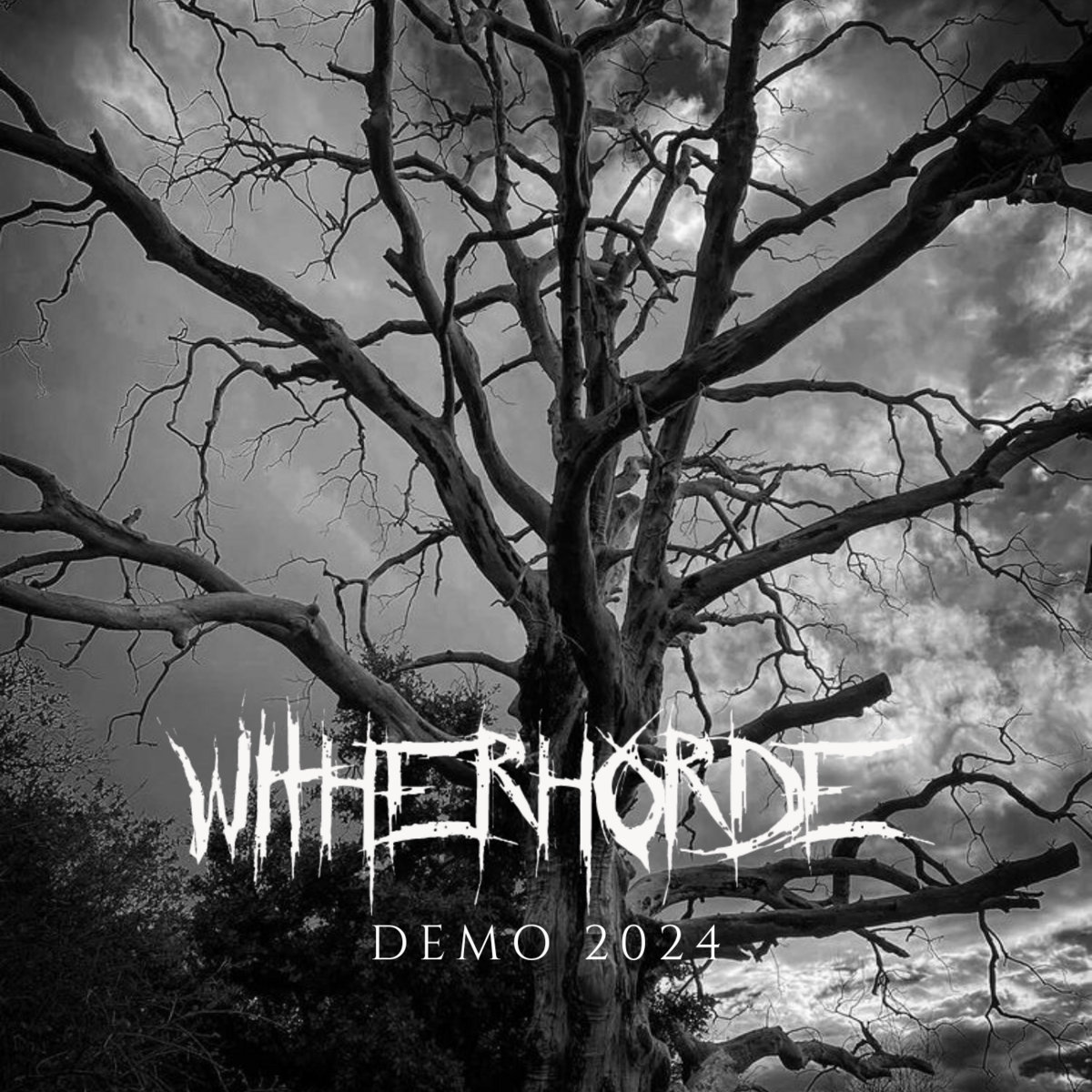 Witherhorde Demo 2024