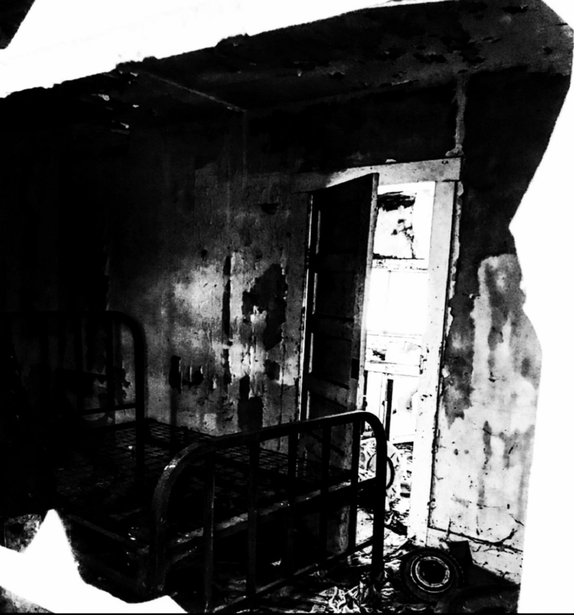 Paravoid (Lost Single 2022)