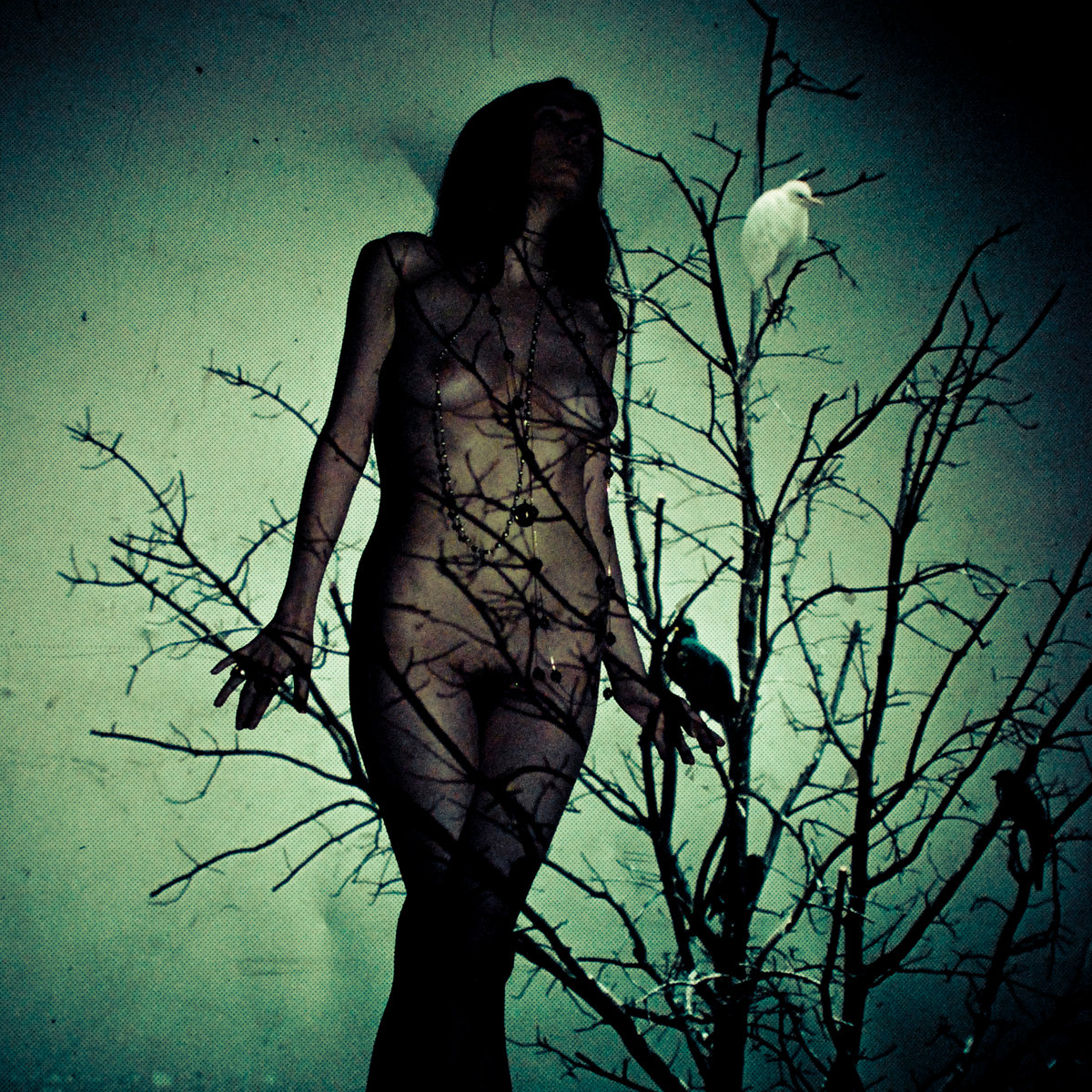 An Ache For The Distance