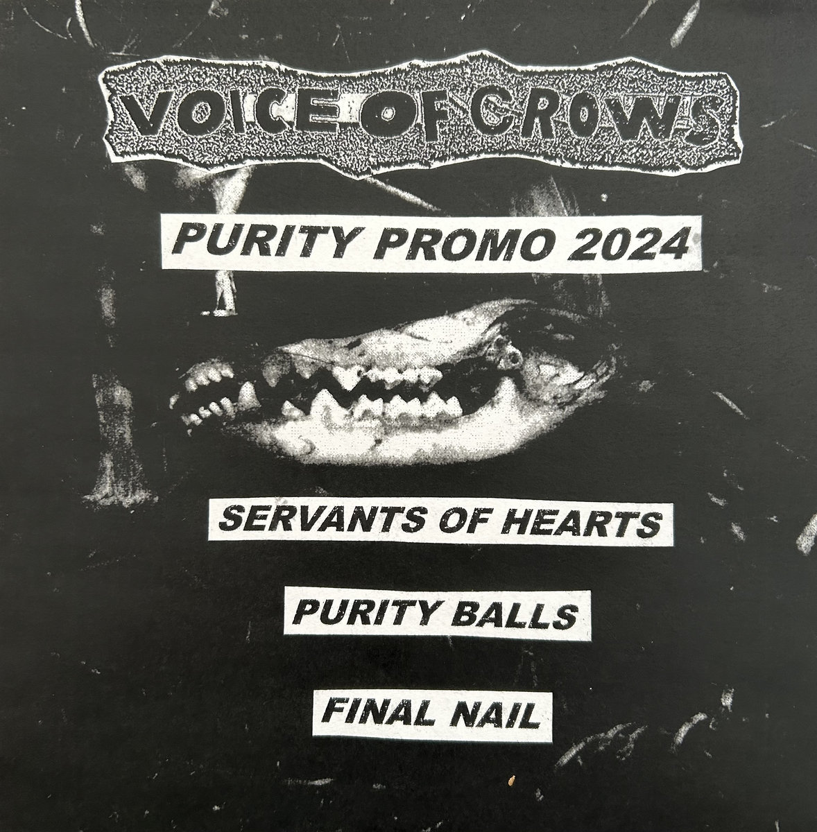Purity Promo 2024