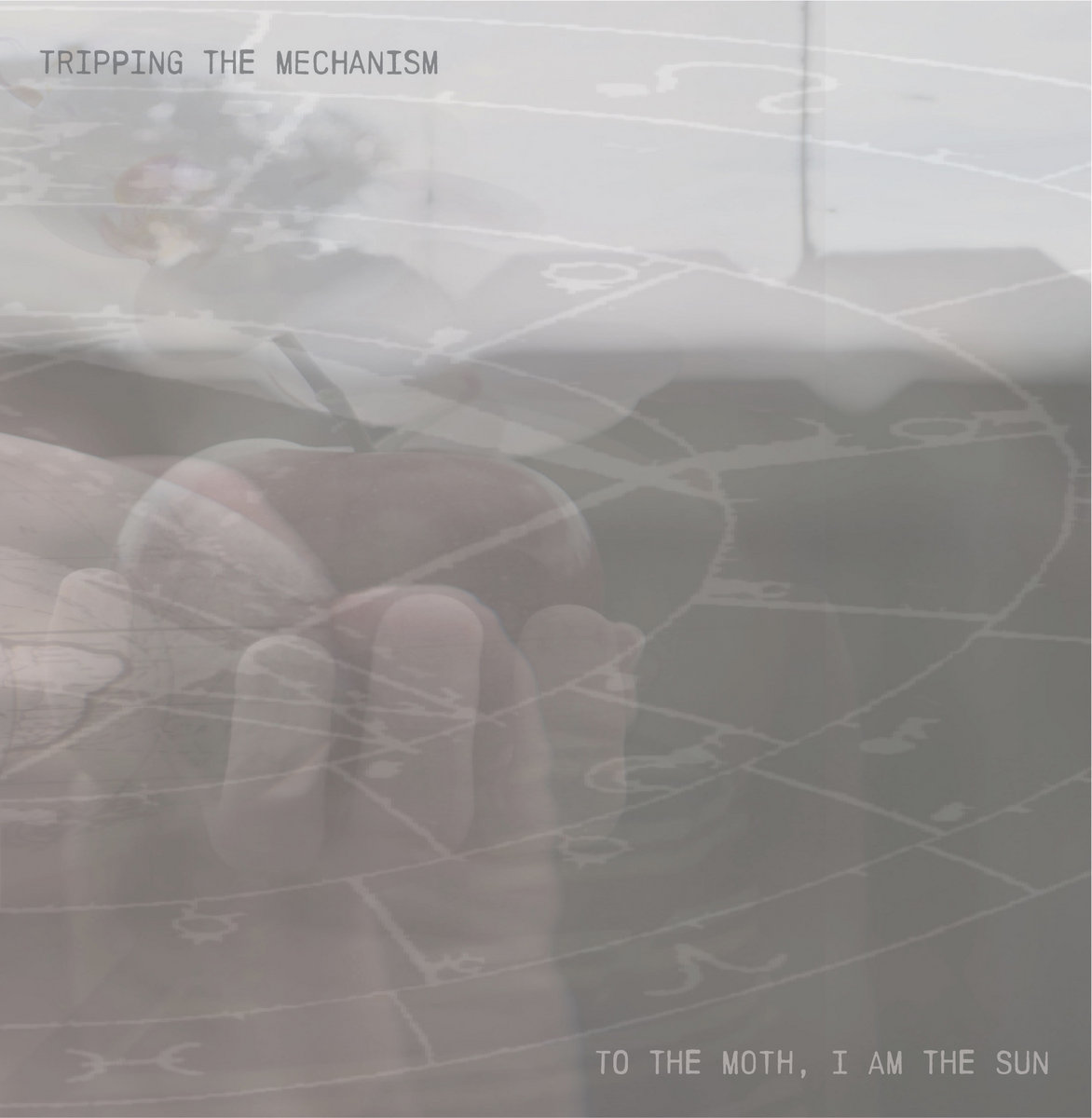 To The Moth, I Am The Sun