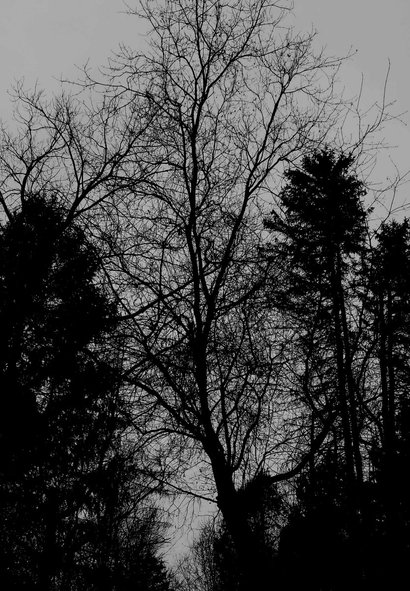 the temple of the false prophet