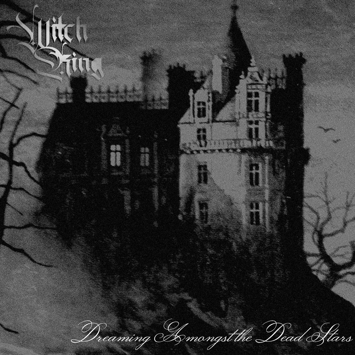 Dreaming Amongst the Dead Stars