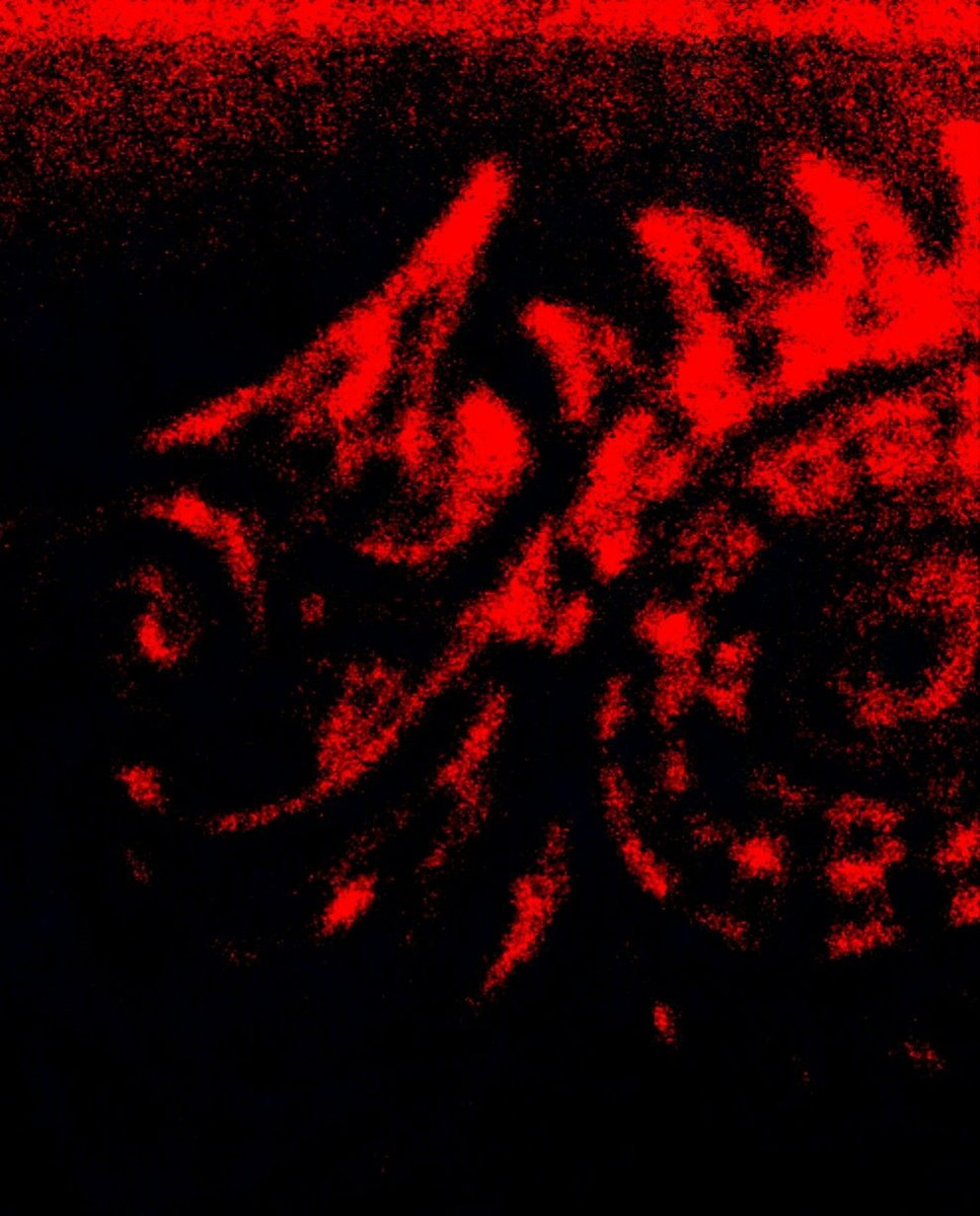 That From Which Flesh Took Form