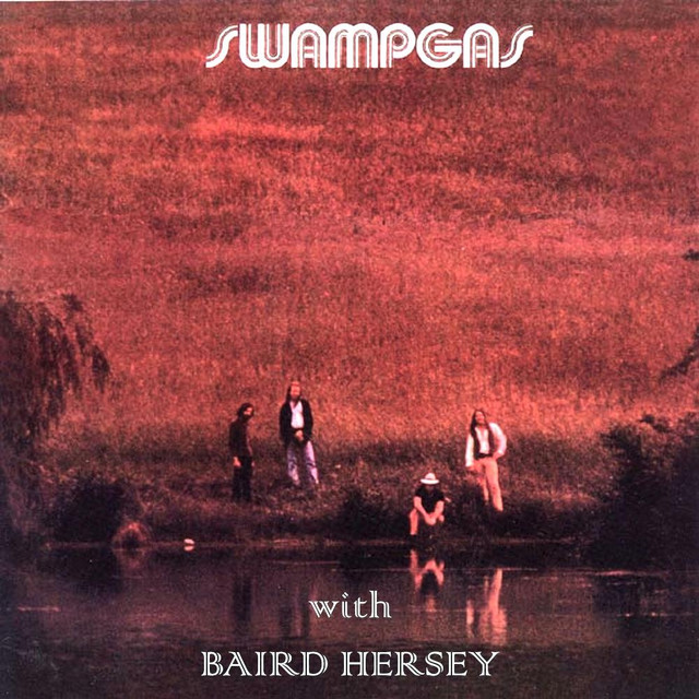 Swamp Gas